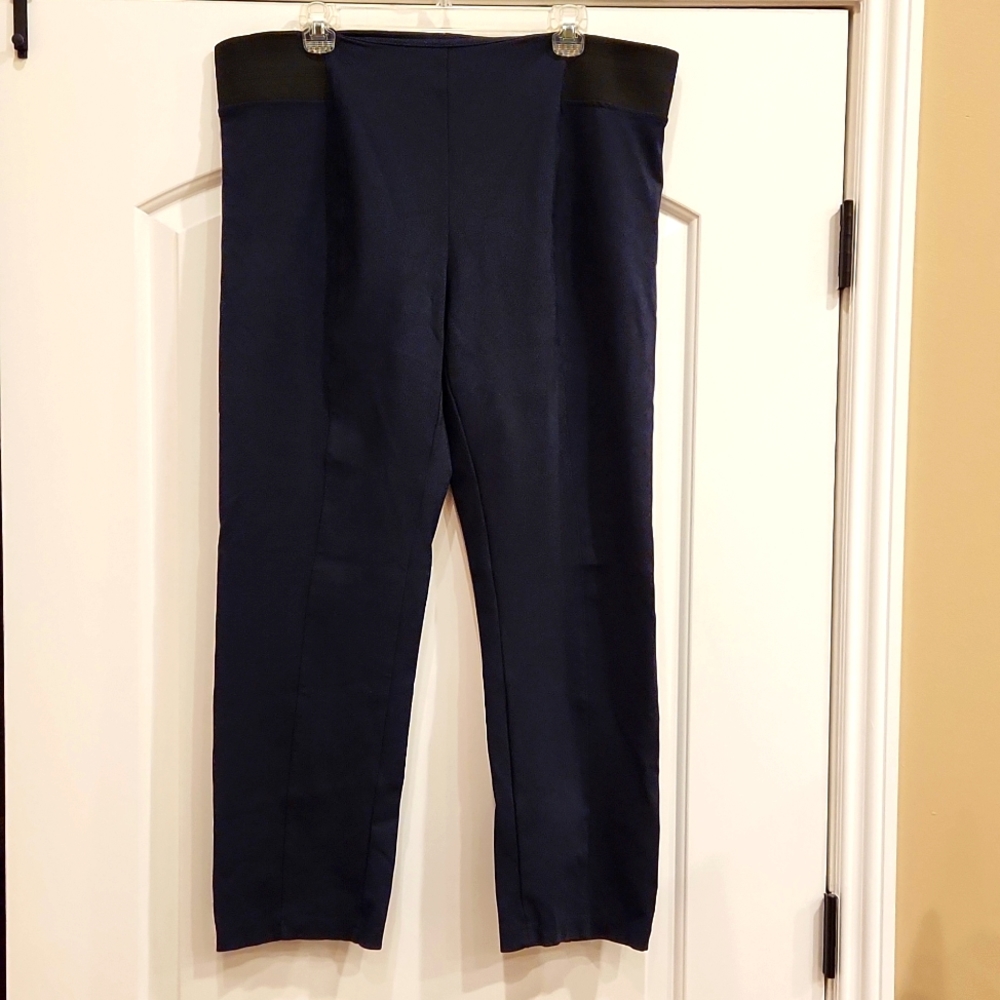 Ellen Tracy Pants size XL